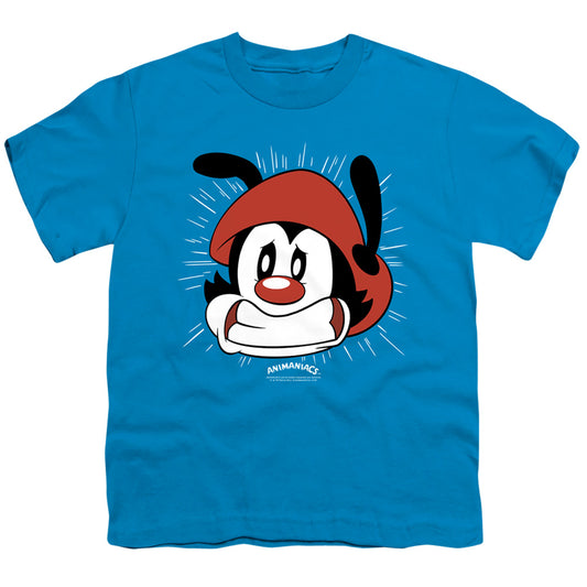 Animaniacs Gotta Go Kids Youth T Shirt Turquoise