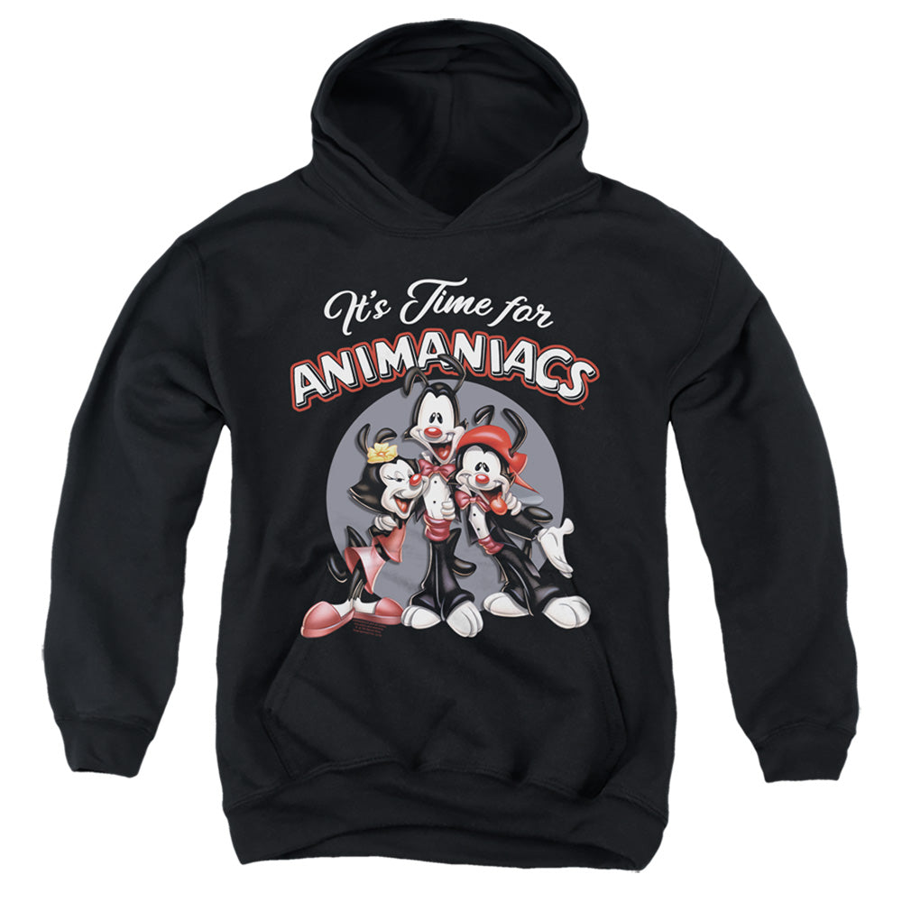 Animaniacs Its Time For Kids Youth Hoodie Black