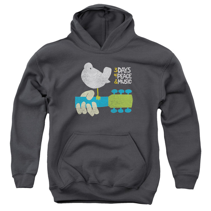 Woodstock Perched Kids Youth Hoodie Charcoal
