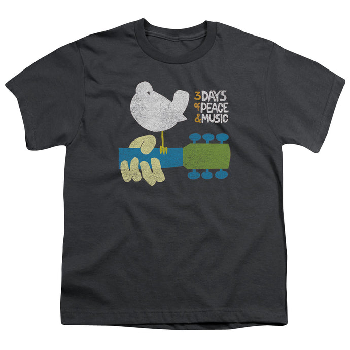 Woodstock Perched Kids Youth T Shirt Charcoal