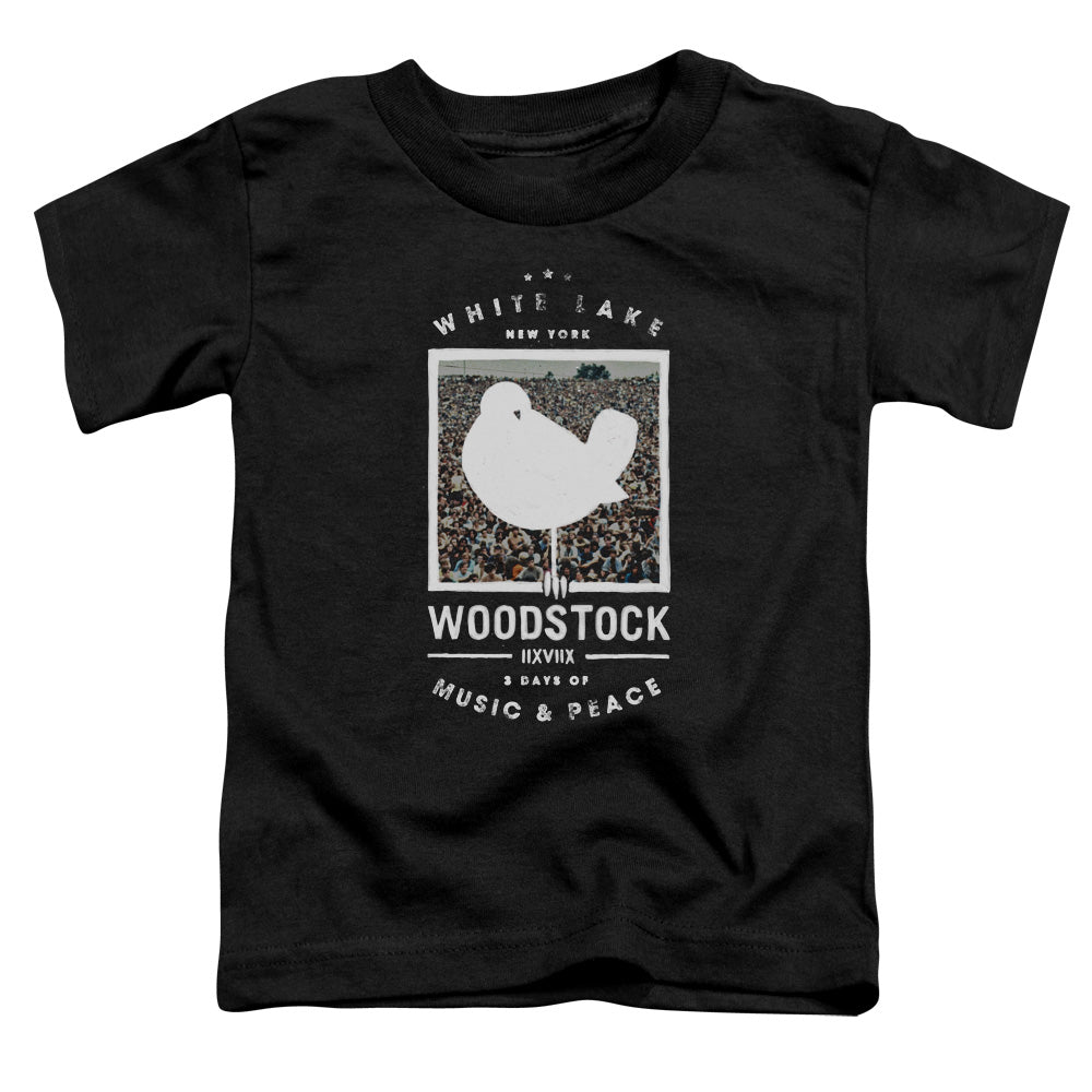 Woodstock Birds Eye View Toddler Kids Youth T Shirt Black