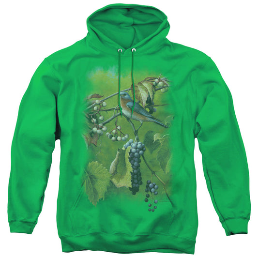 Wildlife Summertime Estrn Bluebird Mens Hoodie Kelly Green