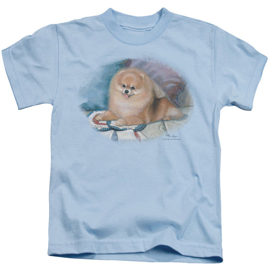Wildlife Pomeranian Portrait Juvenile Kids Youth T Shirt Light Blue