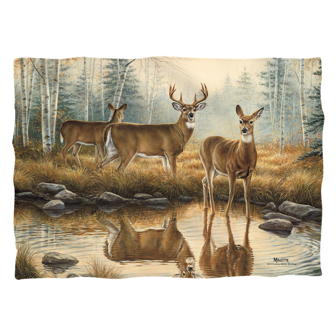 Wild Wings Autumn Reflections 2 Pillow Case