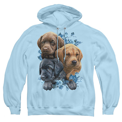 Wild Wings Puppy Pile Mens Hoodie Light Blue