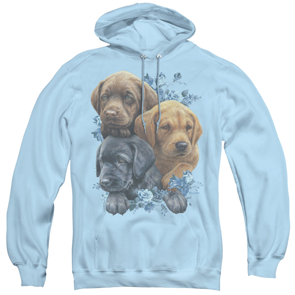 Wild Wings Puppy Pile Mens Hoodie Light Blue