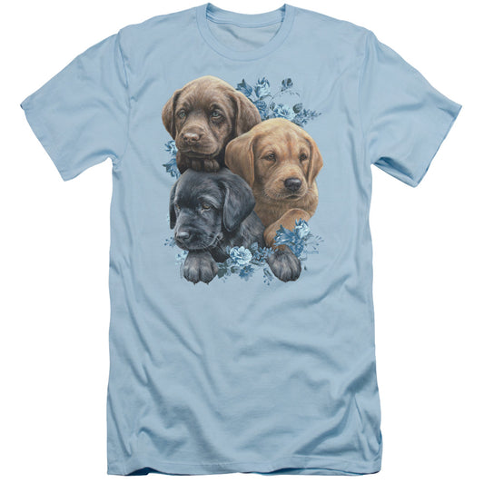 Wild Wings Puppy Pile Slim Fit Mens T Shirt Light Blue