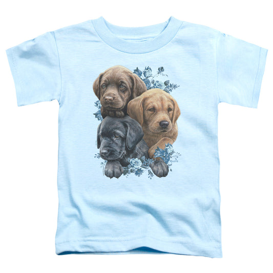 Wild Wings Puppy Pile Toddler Kids Youth T Shirt Light Blue