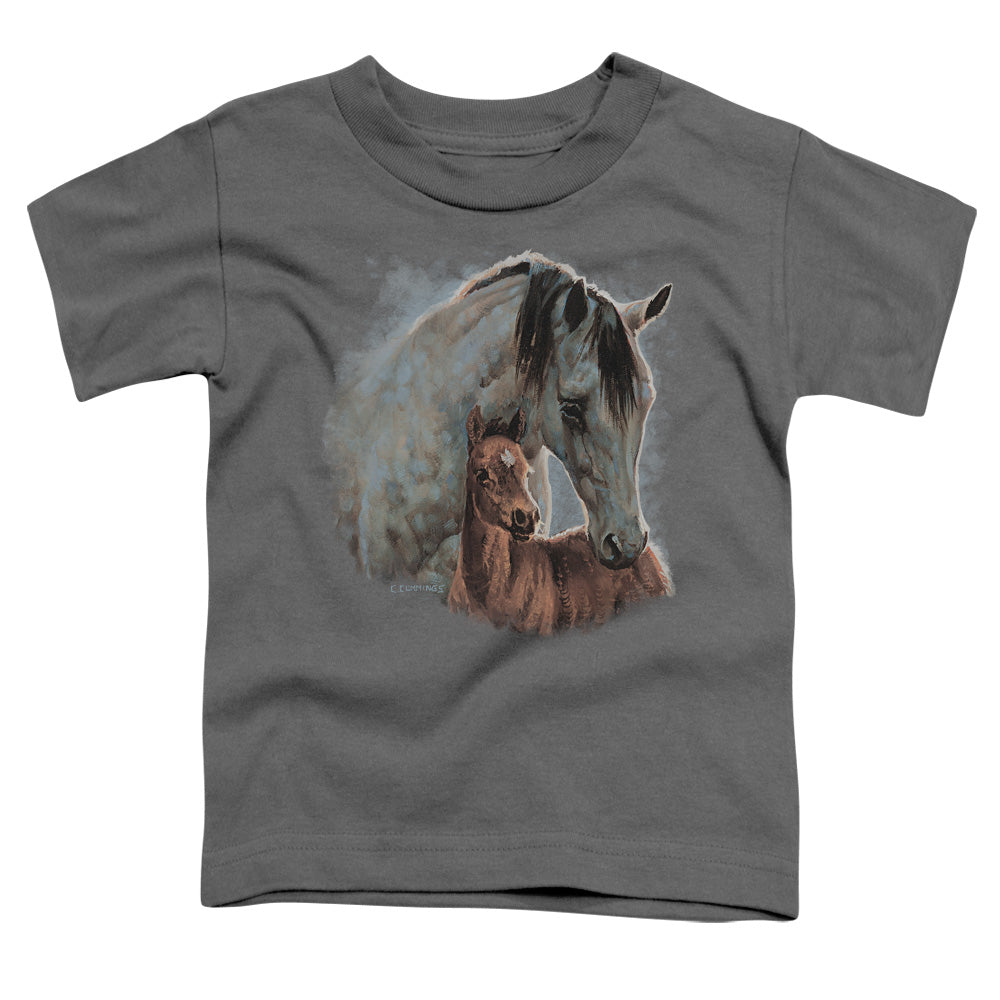 Wild Wings Painted Horses Toddler Kids Youth T Shirt Charcoal