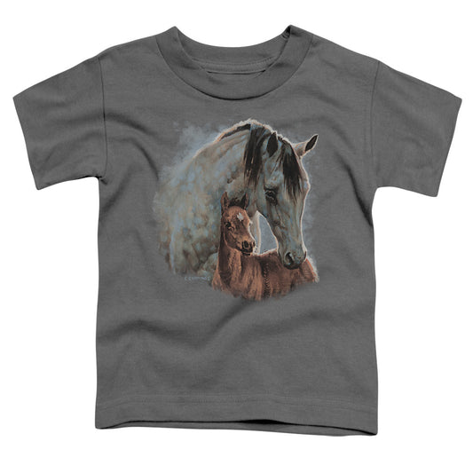 Wild Wings Painted Horses Toddler Kids Youth T Shirt Charcoal