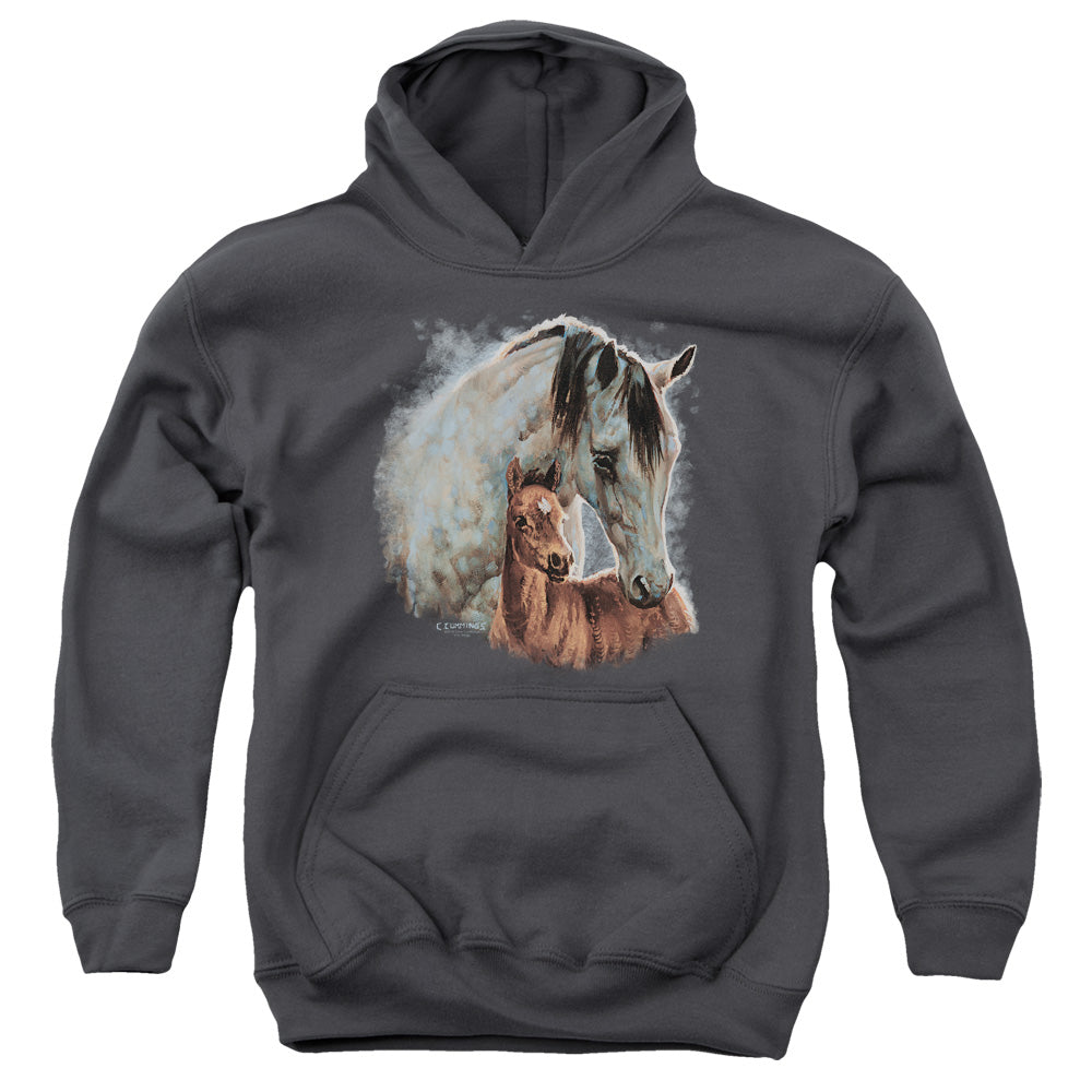 Wild Wings Painted Horses Kids Youth Hoodie Charcoal