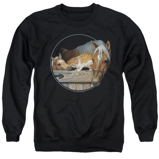 Wild Wings Everyone Loves Kitty Mens Crewneck Sweatshirt Black