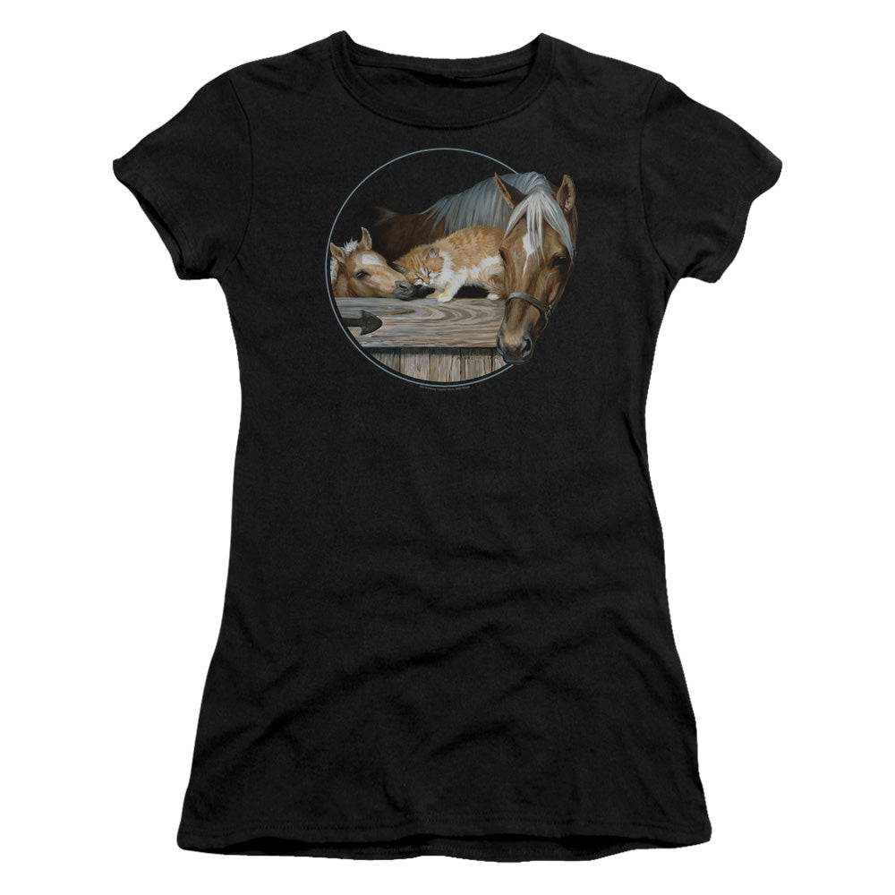 Wild Wings Everyone Loves Kitty Junior Sheer Cap Sleeve Womens T Shirt Black