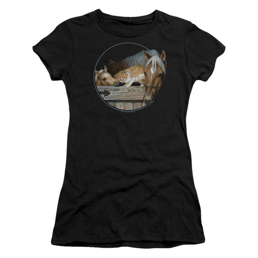 Wild Wings Everyone Loves Kitty Junior Sheer Cap Sleeve Womens T Shirt Black