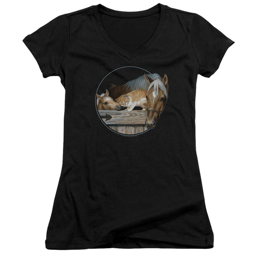 Wild Wings Everyone Loves Kitty Junior Sheer Cap Sleeve V-Neck Womens T Shirt Black