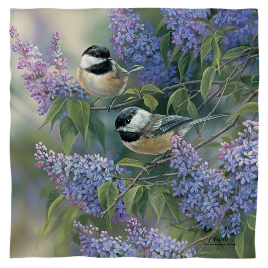 Wild Things Chickadees Bandana Officially Licensed